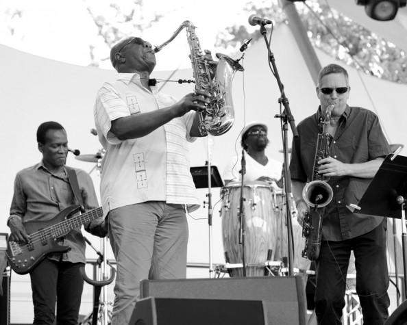 Manu Dibango - Paris Jazz Festival - 22 juin 2014