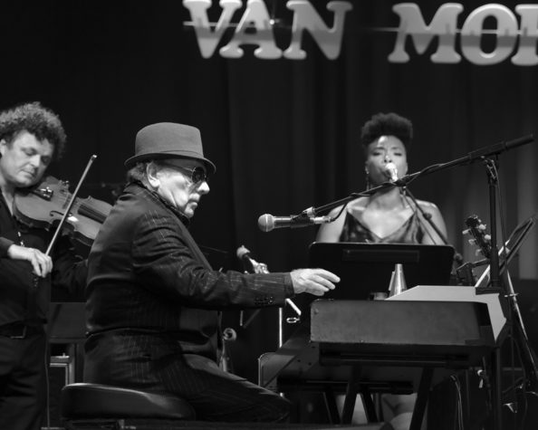 Van Morrison - Blues Peer - Belgique - 14 juillet 2018